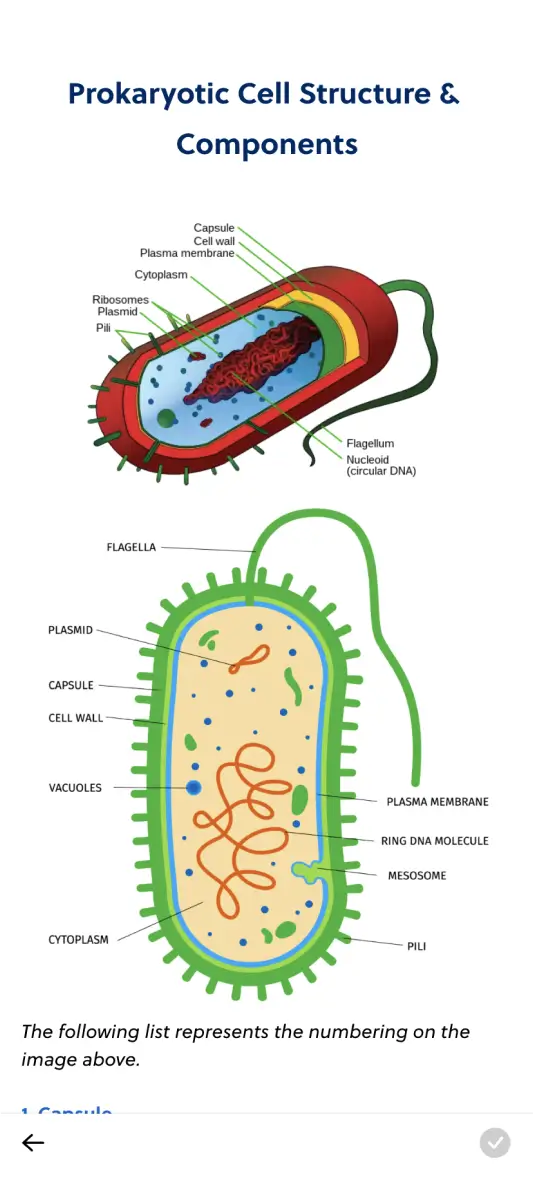 IMAT Mentor biology lesson preview on mobile