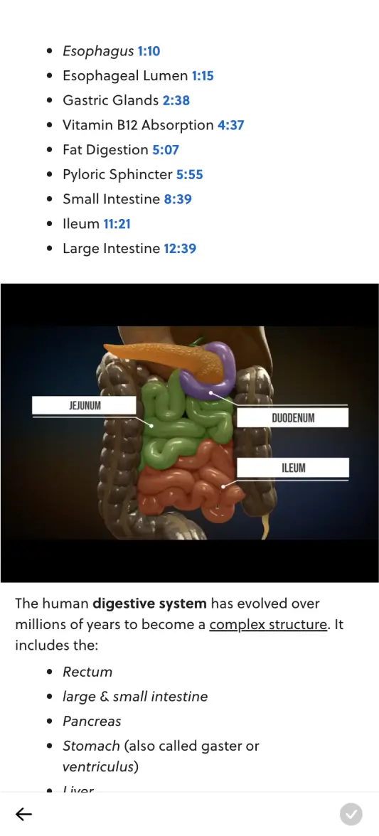 IMAT Mentor digestion topic preview on mobile