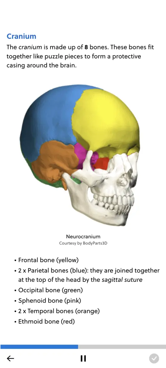 IMAT Mentor anatomy review preview on mobile